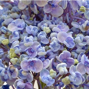 May include: A set of three ceramic mugs with a speckled, matte finish. The mugs are in shades of cream, light gray, and dark gray. Each mug has a simple, modern design and a rounded handle. Perfect for coffee or tea.