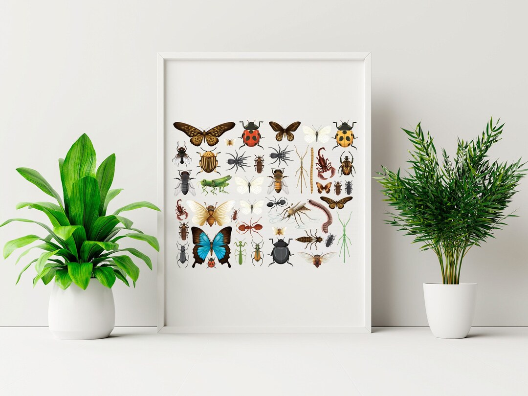 Insects Poster, Insects Gift, Insects Present, Insects Gifts Idea ...