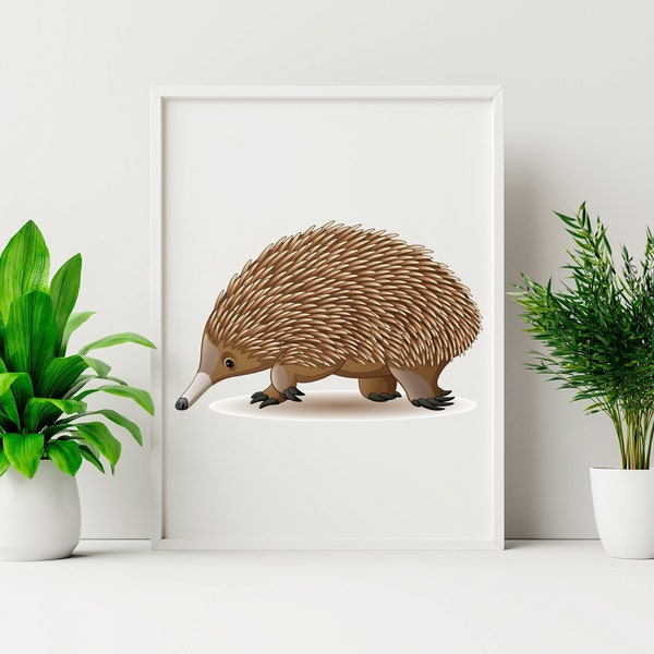 Echidna Poster, Echidna Gift, Echidna Present, Echidna Gifts Idea, Echidna Print, Echidna Wall Art Decor, Echidna Lover Gifts LP65