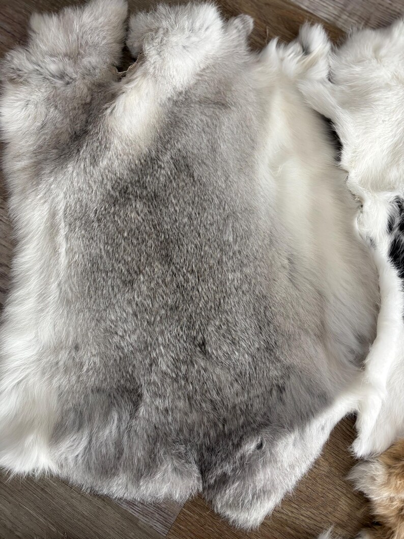 Rabbit Fur Rabbit Skin Random Assorted Colors - Etsy