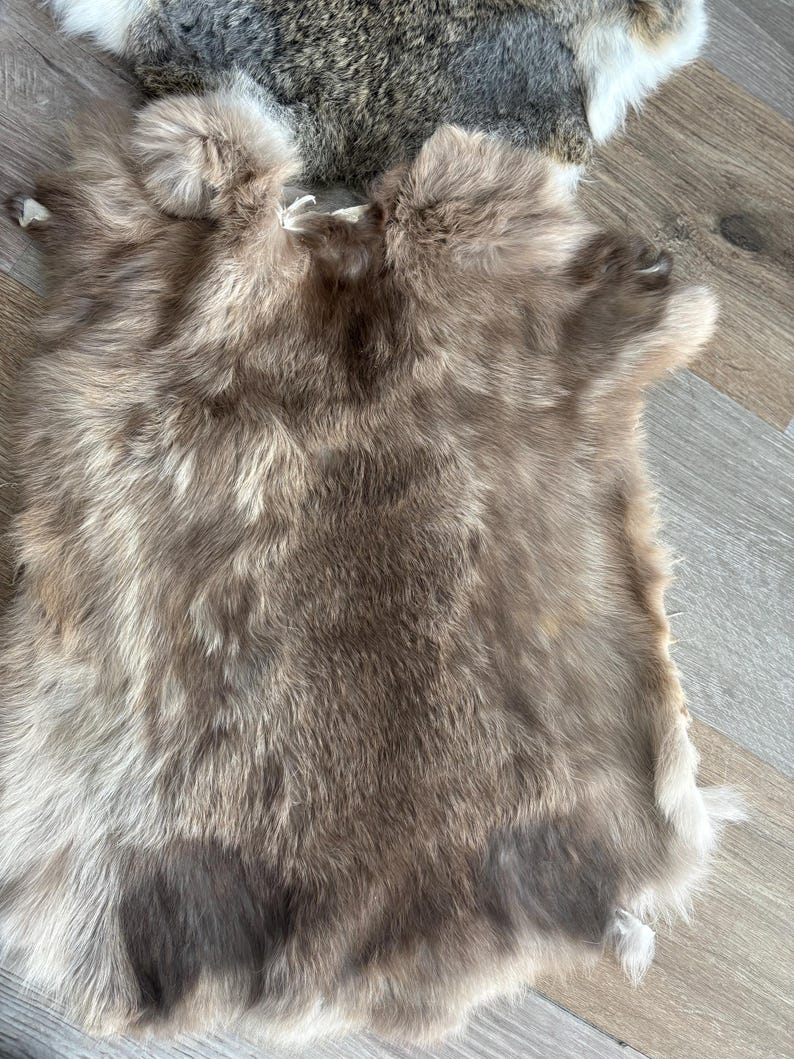 Rabbit Fur Rabbit Skin Random Assorted Colors - Etsy