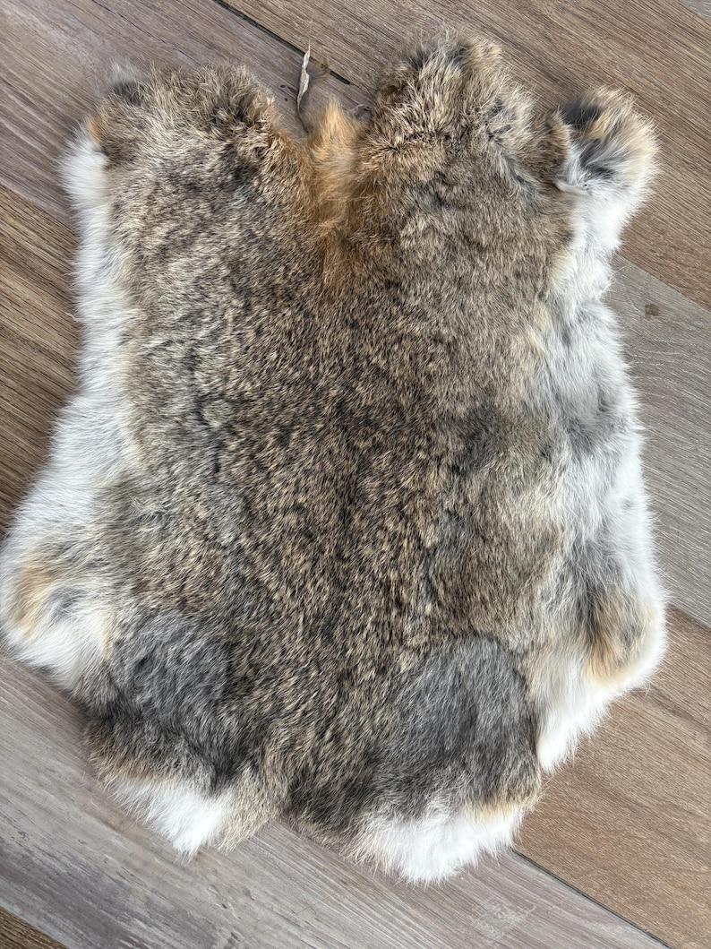 Rabbit Fur Rabbit Skin Random Assorted Colors - Etsy