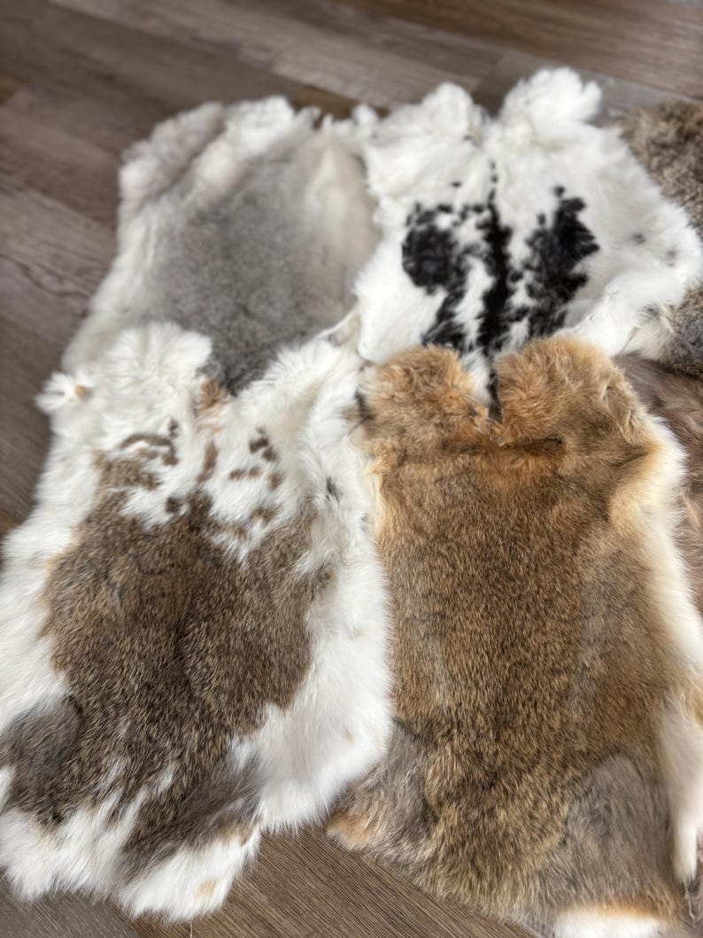 Rabbit Fur Rabbit Skin Random Assorted Colors - Etsy
