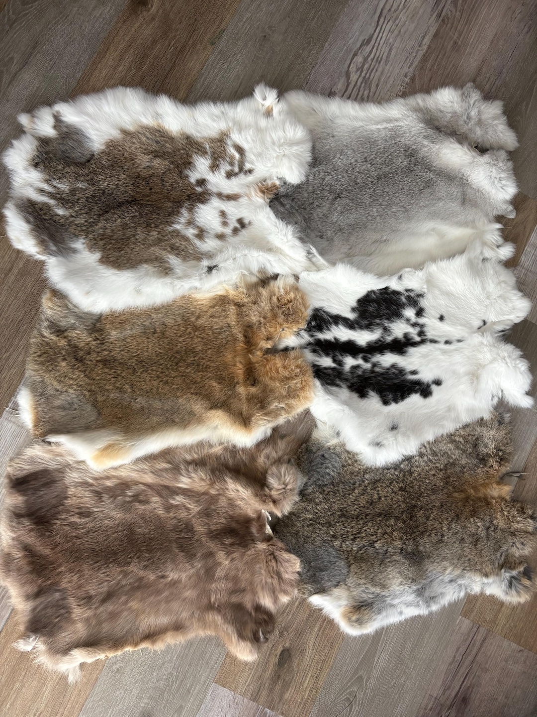 Rabbit Fur Rabbit Skin Random Assorted Colors - Etsy