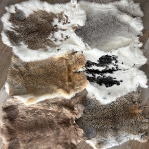 May include: Five rabbit fur pelts in various colors and patterns. The pelts are laid out on a wooden floor. The pelts are all different sizes and shapes. The fur is soft and fluffy.