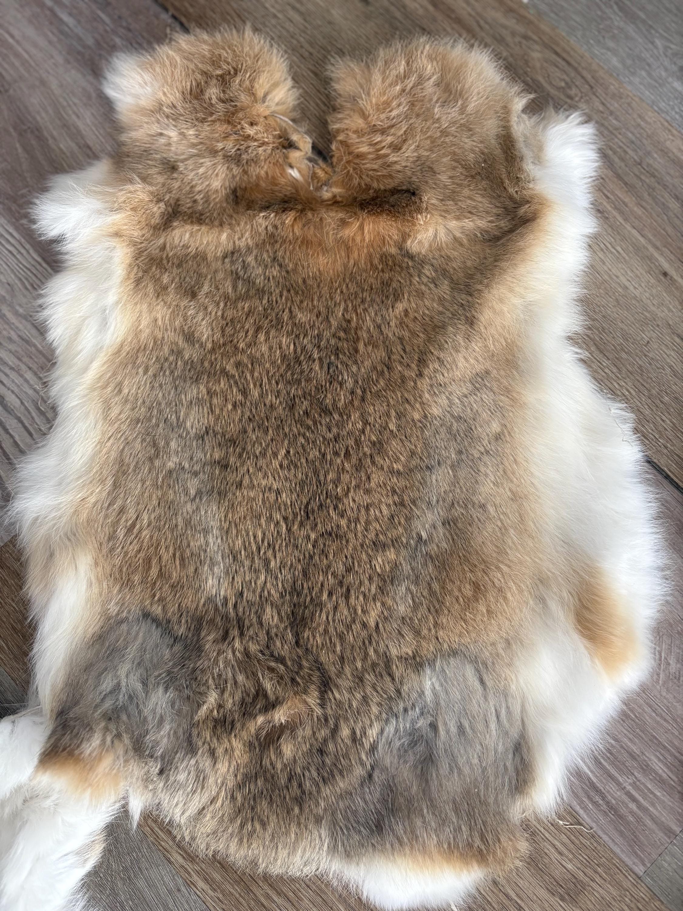 Rabbit Fur Rabbit Skin Random Assorted Colors - Etsy