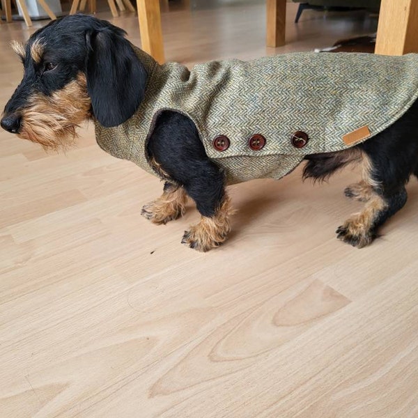 Tweed coat for dachshunds