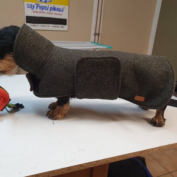 Dachshund coat made of loden with fleece