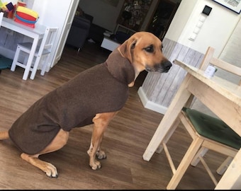 Loden coat with fleece large dogs