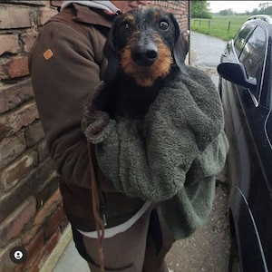 Dachshund bag made of terry cloth