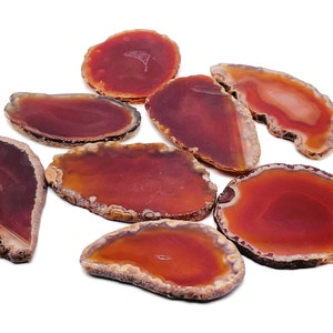 May include: A collection of eight agate slices in shades of orange and red. The slices are polished and have a natural, irregular shape.