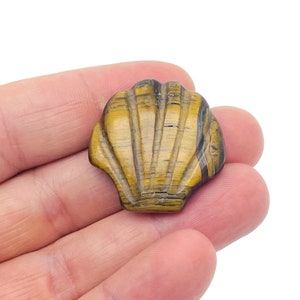 May include: A golden brown tiger's eye gemstone carved into the shape of a seashell. The shell has a smooth, polished surface and intricate details.