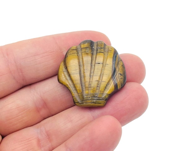 Tiger Eye Sea Shell Carving Gemstone - Gemstone Shell For Jewelry Making - Mineral Specimen - Sea Shell Decor - SS1002