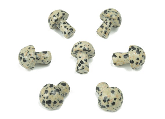 Dalmatian Jasper Mushroom Gemstone – Crystal Carving – Crystal Mushroom – Natural Dalmatian Jasper – 2cm – MU1016