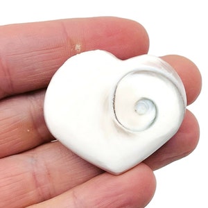 Shiva Shell Hearts – Heart Crystal - Witchcraft Crystals – Carving Heart - Shiva Eye Shell Heart - HE1271