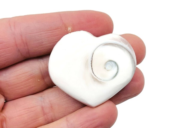 Shiva Shell Hearts – Heart Crystal - Witchcraft Crystals – Carving Heart - Shiva Eye Shell Heart - HE1271