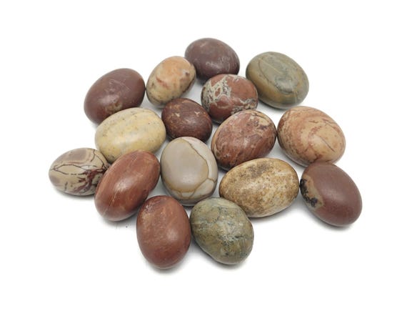 Petrified Wood Tumbled Stone – Fossilized Wood Rock – Natural Fossilized Wood – Crystal Petrified – TU1318