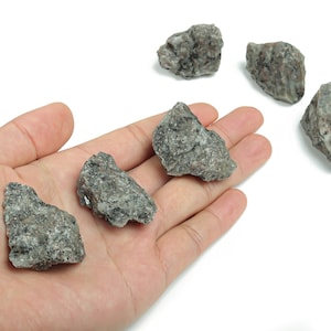 May include: Five small, rough, gray rocks with a speckled texture. The rocks are on a white surface and in a hand.