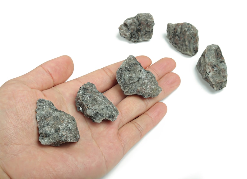 May include: Five small, rough, gray rocks with a speckled texture. The rocks are on a white surface and in a hand.