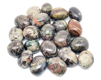 Rhyolite Tumbled Stone - Rainforest Tumbled Stone - Rhyolite Gemstone  – TU1077