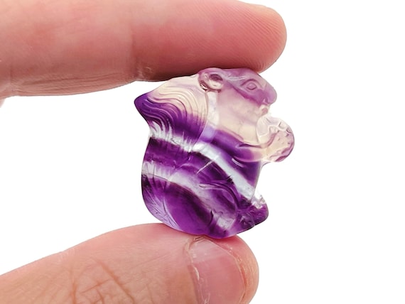 Fluorite Squirrel Carving – Fluorite Carved Gemstone – Healing Crystal – Best Quality - Home Decor - Gifts - CA1029