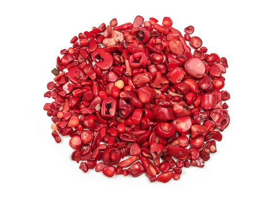 Red on sale coral chips