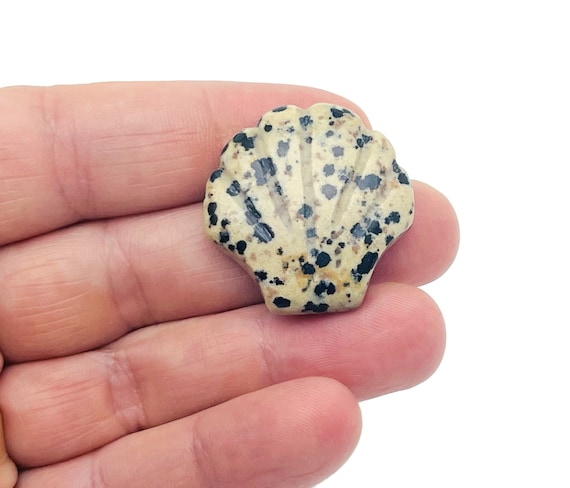 Dalmatian Jasper Sea Shell Carving Gemstone - Gemstone Shell For Jewelry Making - Mineral Specimen - Sea Shell Decor - SS1007