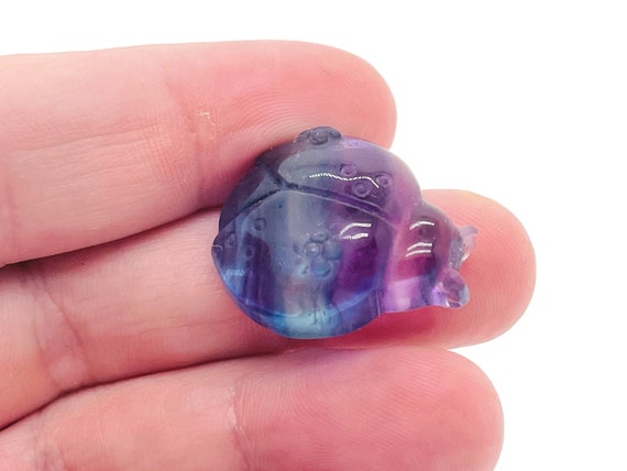 Fluorite Ladybird Carving – Fluorite Carved Gemstone – Healing Crystal – Best Quality - Home Decor - Gifts - CA1004