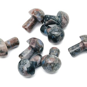 Que Sera Mushroom Gemstone – Crystal Carving – Crystal Mushroom – Natural Stone Mushroom Carving – 2cm – MU1031