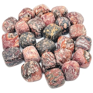 Leopard Skin Jasper Tumbled Stone – Meditation Stone – Empowerment Stone – Shaman Stone – Jaguar Stone – TU1237