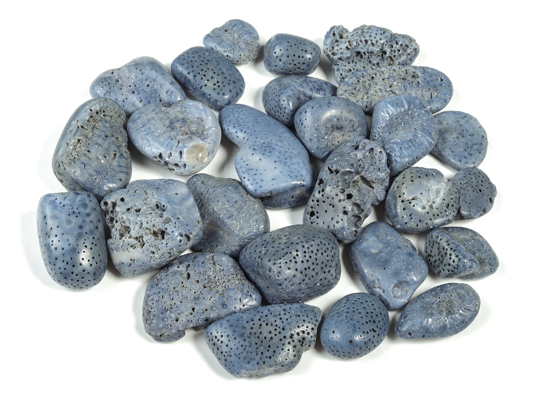 Blue Coral Tumbled Stone Blue Coral Crystal Stones protection Stone