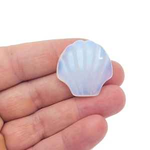 Peut inclure: Une coquille de nacre blanche avec une texture délicate et ondulée. La coquille est lisse et polie, avec une apparence translucide.