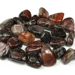 Petrified Wood Tumbled Stone – Fossilized Wood Rock – Natural Fossilized Wood – Crystal Petrified – TU1124