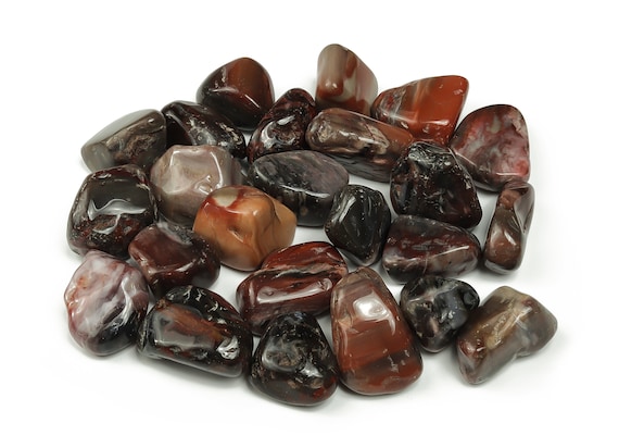 Petrified Wood Tumbled Stone – Fossilized Wood Rock – Natural Fossilized Wood – Crystal Petrified – TU1124