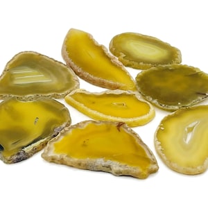 May include: A collection of seven agate slices in shades of yellow and green. The slices are smooth and polished, with natural patterns and textures.