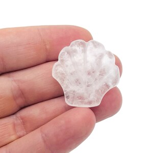 Clear Quartz Sea Shell Carving Gemstone - Gemstone Shell For Jewelry Making - Mineral Specimen - Sea Shell Decor - SS1003