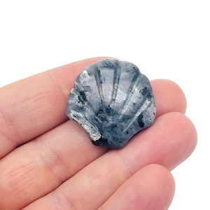May include: A black and grey gemstone carved into the shape of a seashell. The shell is smooth and polished.
