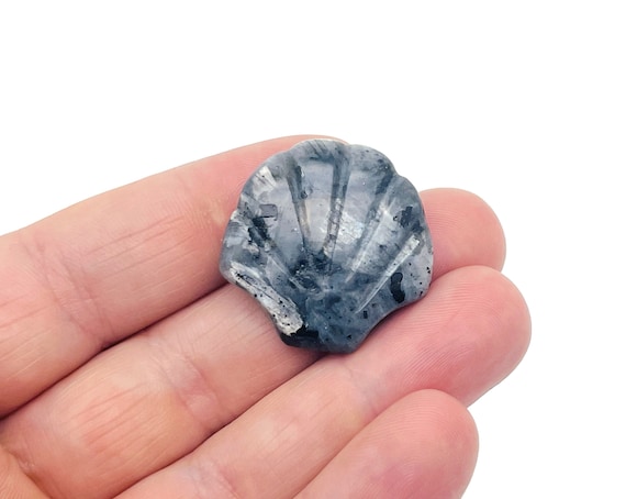 Larvikite Sea Shell Carving Gemstone - Gemstone Shell For Jewelry Making - Mineral Specimen - Sea Shell Decor - SS1009