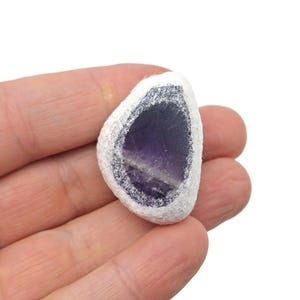 May include: A purple amethyst crystal encased in white, smooth, rounded rock.