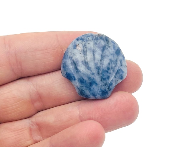 Sodalite Sea Shell Carving Gemstone - Gemstone Shell For Jewelry Making - Mineral Specimen - Sea Shell Decor - SS1010