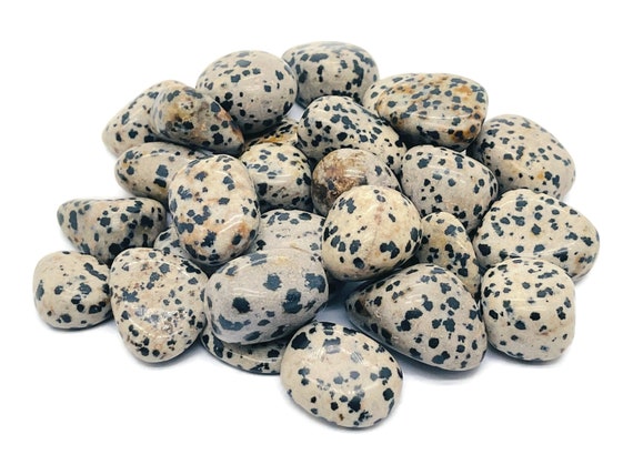 Dalmatian Jasper Tumbled Stone -Dalmatian Jasper Gemstone - Loose Gemstone - Chakra - TU1181