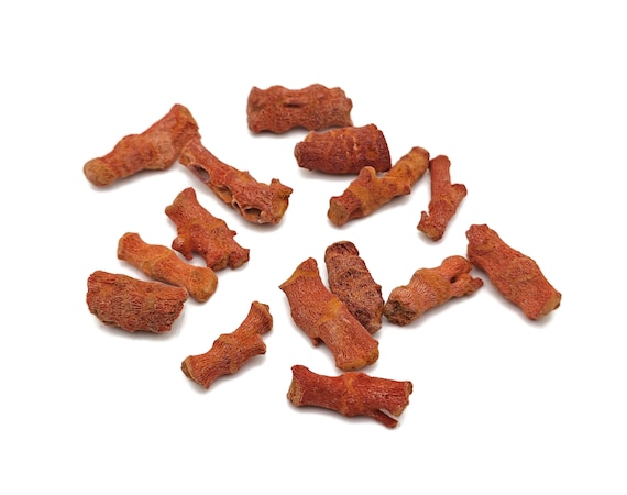 Rough Red Coral - Red Coral Stones - Aquarium Gemstones - Wholesale Corals - FO1018