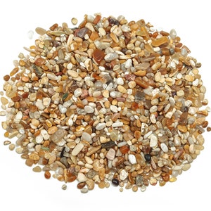 Fossil Coral Jasper Chips – Gemstone Chips – Crystal Semi Tumbled Chips - Bulk Crystal - 2-6mm - CP1051