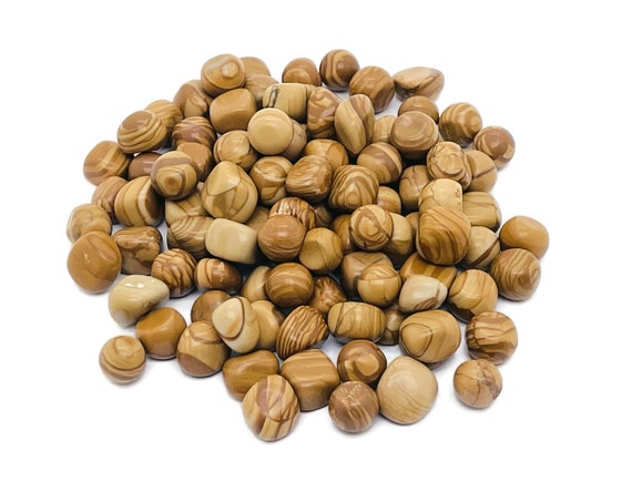 Walnut Jasper Chips – Gemstone Chips – Crystal Semi Tumbled Chips - Bulk Crystal - 9-12mm - CP1201