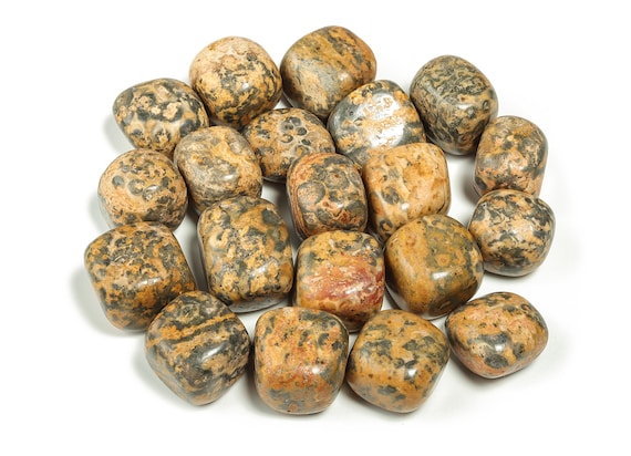 Leopard Skin Jasper Tumbled Stone – Meditation Stone –Tumbled Healing Crystal – Shaman Stone – Natural Jasper Crystal – TU1111