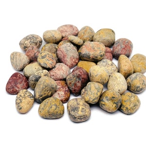 Leopard Skin Jasper Tumbled Stone – Love Jasper –Tumbled Healing Crystal – Shaman Stone – Natural Jasper Crystal – TU1109