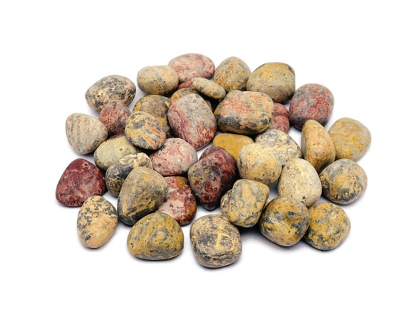 Leopard Skin Jasper Tumbled Stone – Love Jasper –Tumbled Healing Crystal – Shaman Stone – Natural Jasper Crystal – TU1109