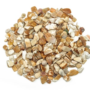 Fossil Coral Jasper Chips – Gemstone Chips – Crystal Semi Tumbled Chips - Bulk Crystal - 7-15mm - CP1052