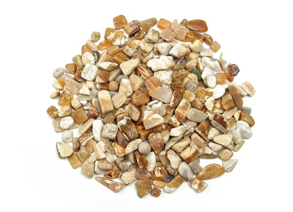 Fossil Coral Jasper Chips – Gemstone Chips – Crystal Semi Tumbled Chips - Bulk Crystal - 7-15mm - CP1052