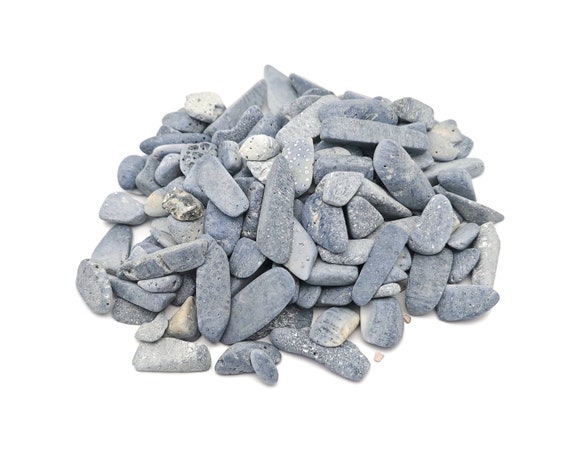 Blue Coral Chips - Gemstone Chips – Crystal Semi Tumbled Chips - Bulk Crystal - 7-15mm - CP1259